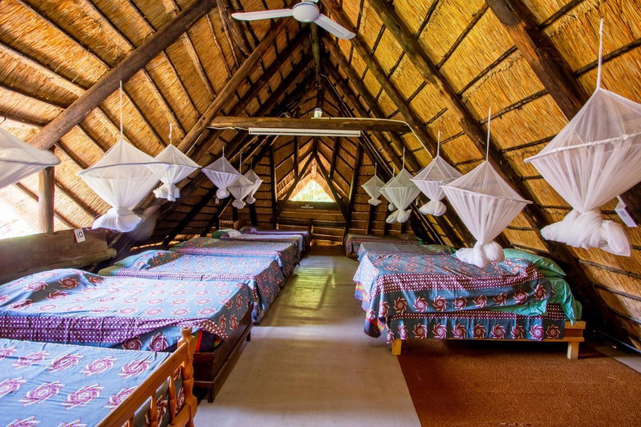 Victoria Falls Backpackers Lodge Εξωτερικό φωτογραφία