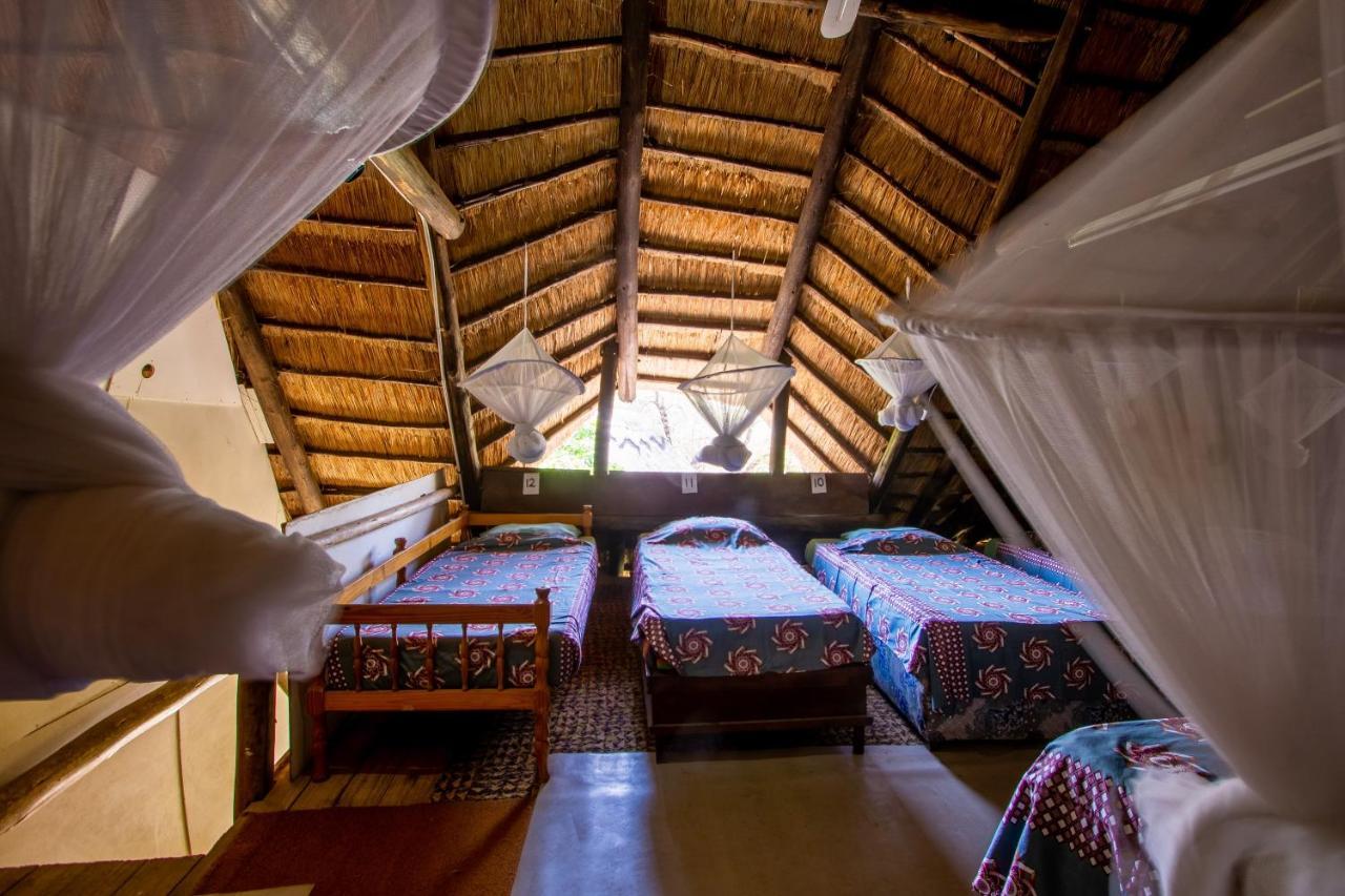 Victoria Falls Backpackers Lodge Εξωτερικό φωτογραφία