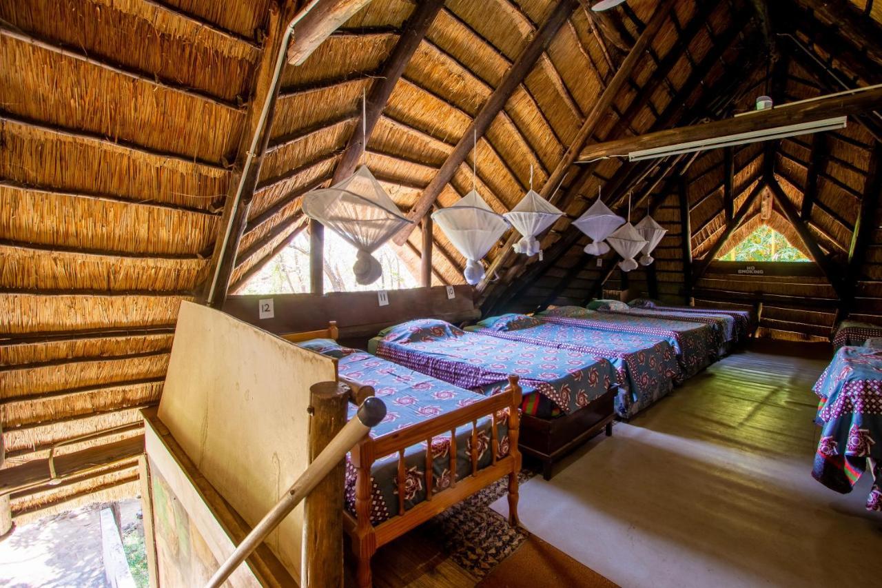 Victoria Falls Backpackers Lodge Εξωτερικό φωτογραφία