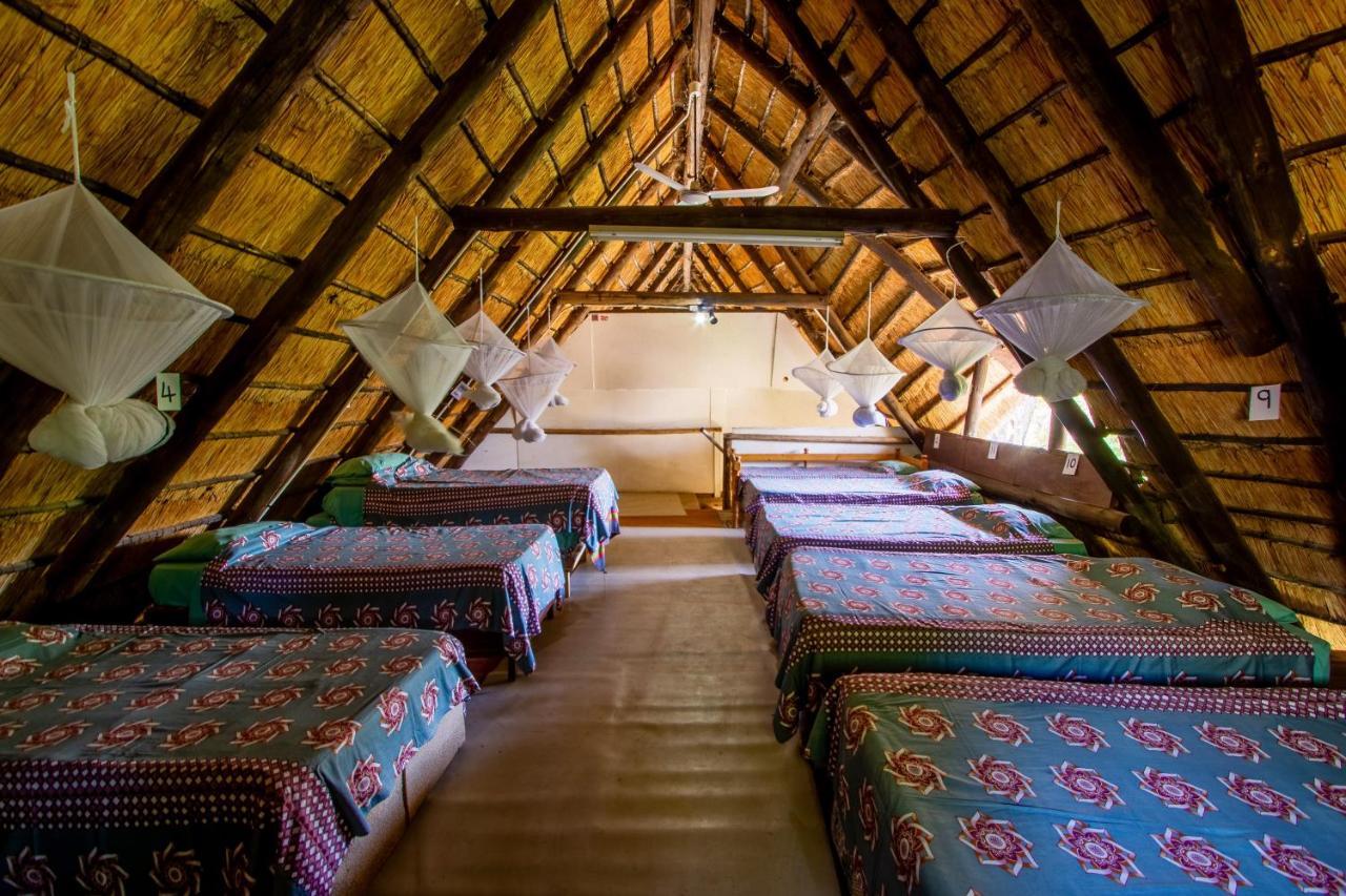 Victoria Falls Backpackers Lodge Εξωτερικό φωτογραφία