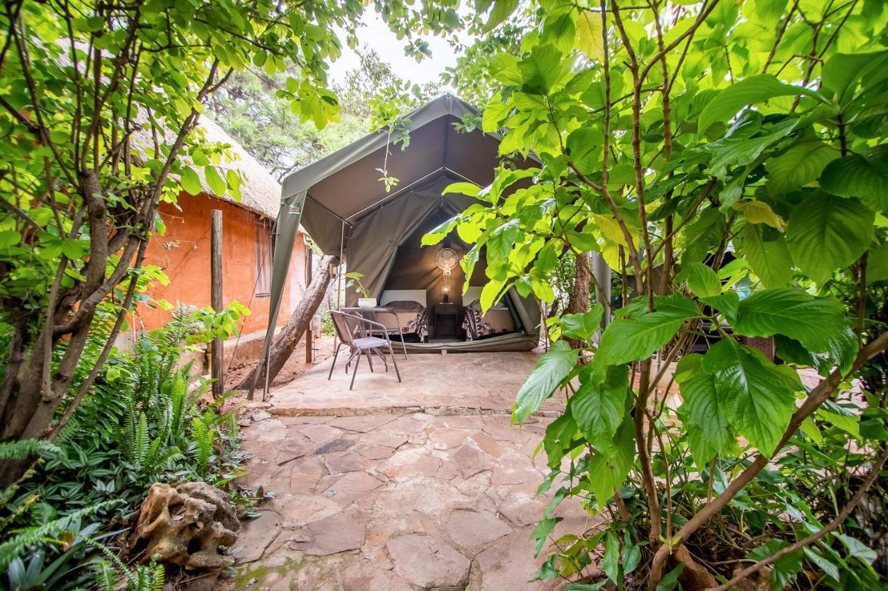 Victoria Falls Backpackers Lodge Εξωτερικό φωτογραφία