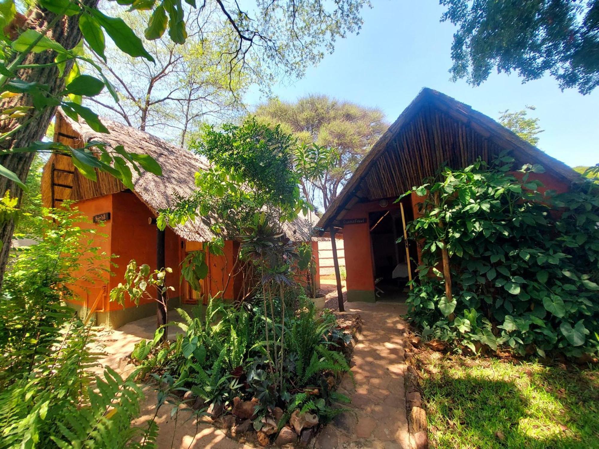 Victoria Falls Backpackers Lodge Εξωτερικό φωτογραφία